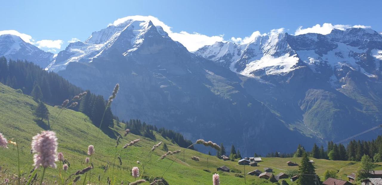 Hotel Restaurant Sonnenberg Mürren Esterno foto