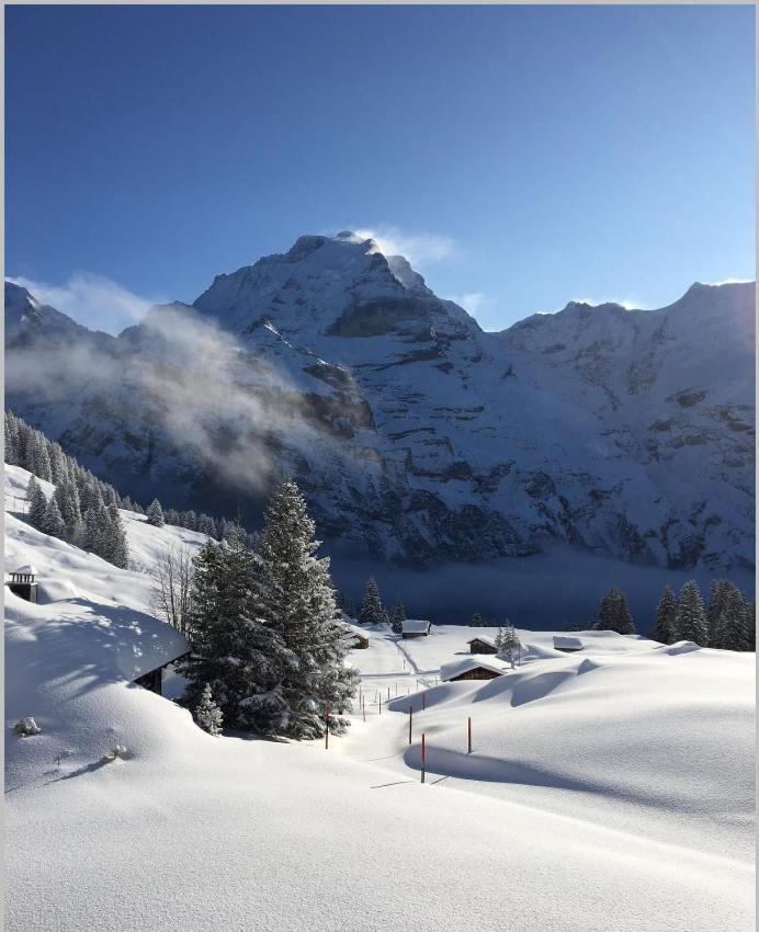 Hotel Restaurant Sonnenberg Mürren Esterno foto
